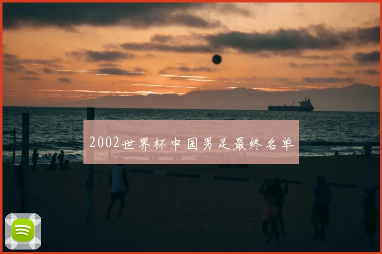 2002世界杯中国男足最终名单