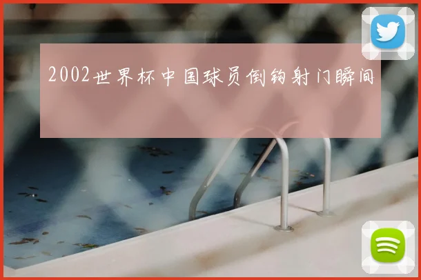 2002世界杯中国球员倒钩射门瞬间