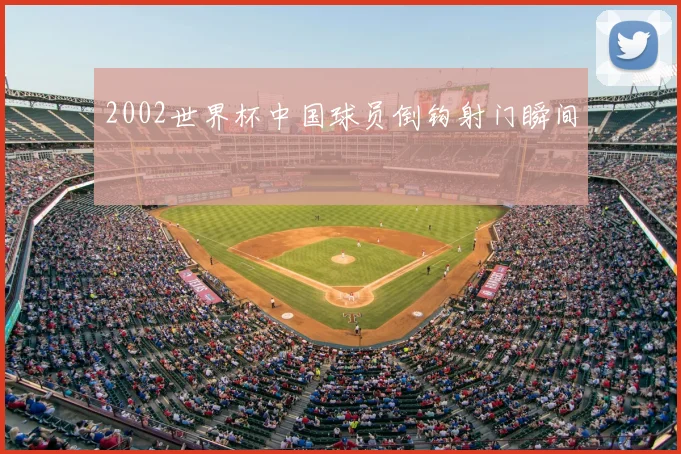 2002世界杯中国球员倒钩射门瞬间