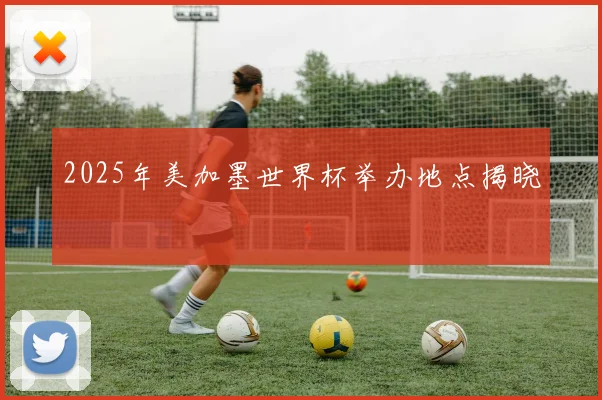 2025年美加墨世界杯举办地点揭晓