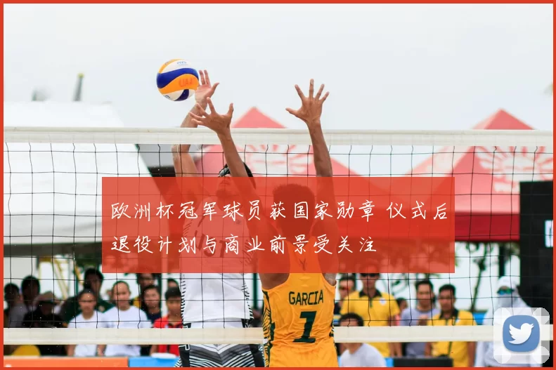 欧洲杯冠军球员获国家勋章 仪式后退役计划与商业前景受关注