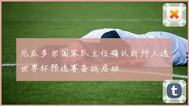 厄瓜多尔国家队主任确认新帅人选世界杯预选赛备战启动