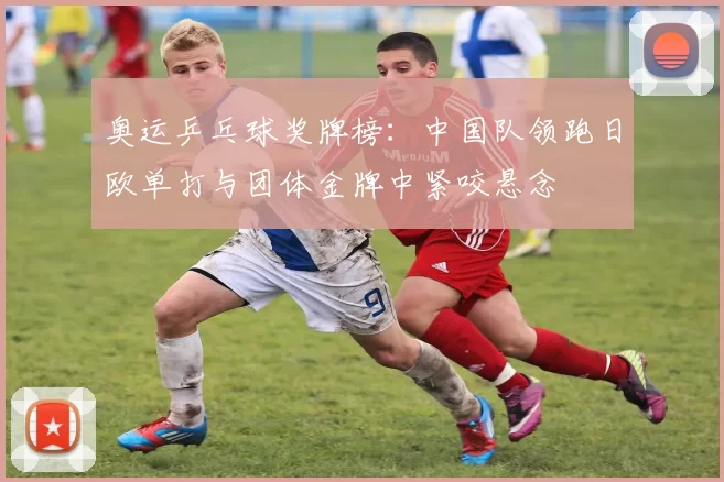 奥运乒乓球奖牌榜:中国队领跑日欧单打与团体金牌中紧咬悬念