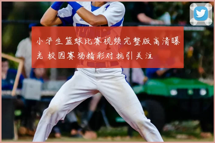 小学生篮球比赛视频完整版高清曝光 校园赛场精彩对抗引关注